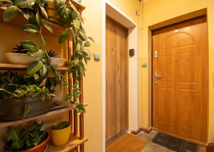 Rynek Comfy Апартаменты